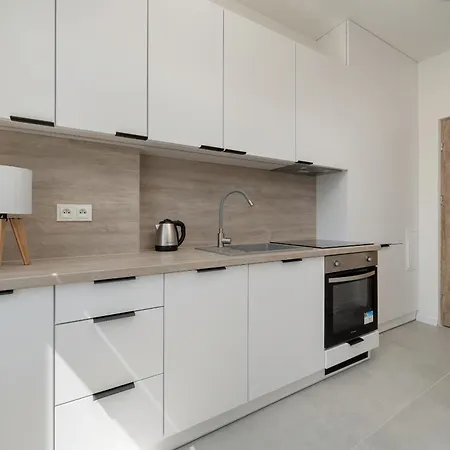 Komfortowe I Przytulne Blisko Parku By Renters Appartamento *
